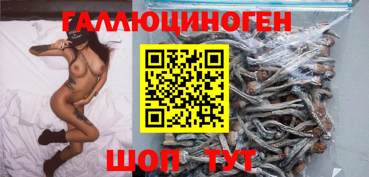 Псилоцибиновые грибы Psilocybine cubensis  Архангельск 