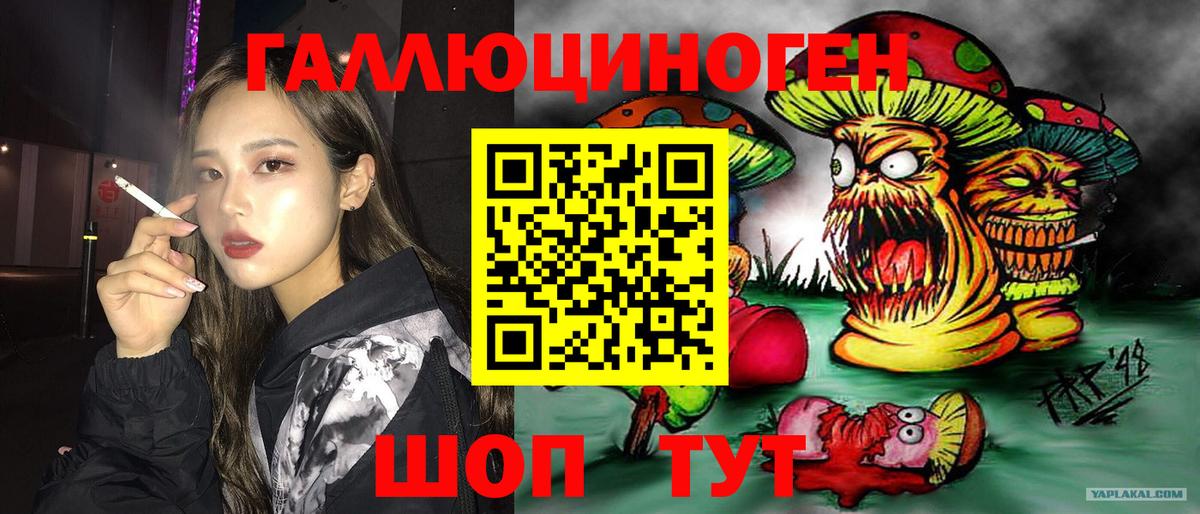 Архангельск  Псилоцибиновые грибы Psilocybine cubensis  Вход с VPN 